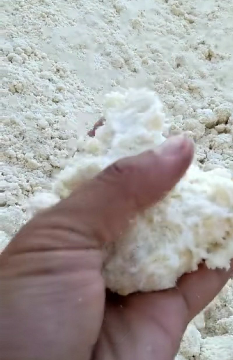 湿豆渣每天生产保证新鲜质量保证欢迎选购