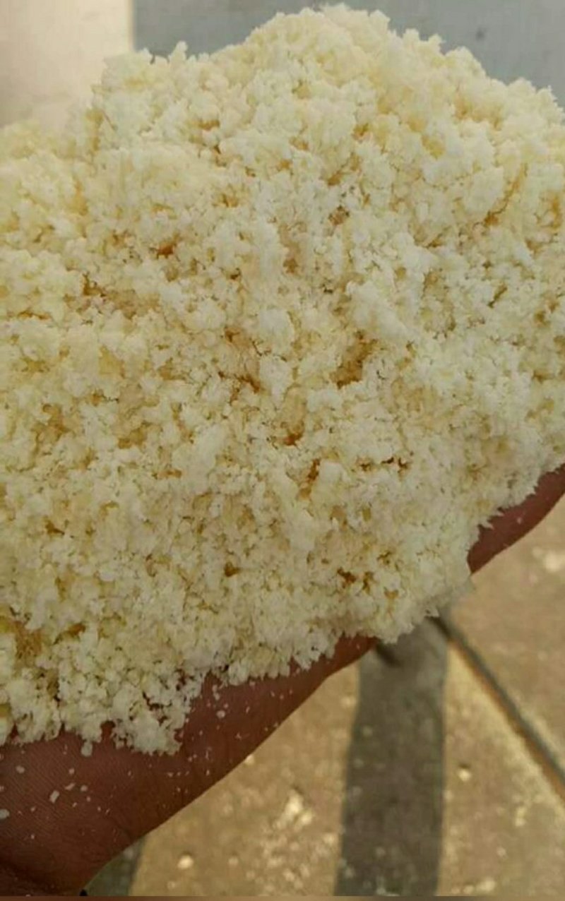 湿豆渣每天生产保证新鲜质量保证欢迎选购