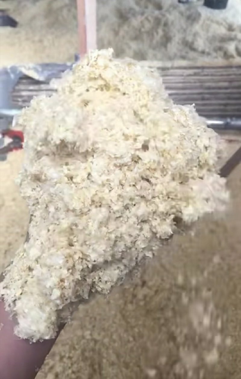 湿豆渣每天生产保证新鲜质量保证欢迎选购