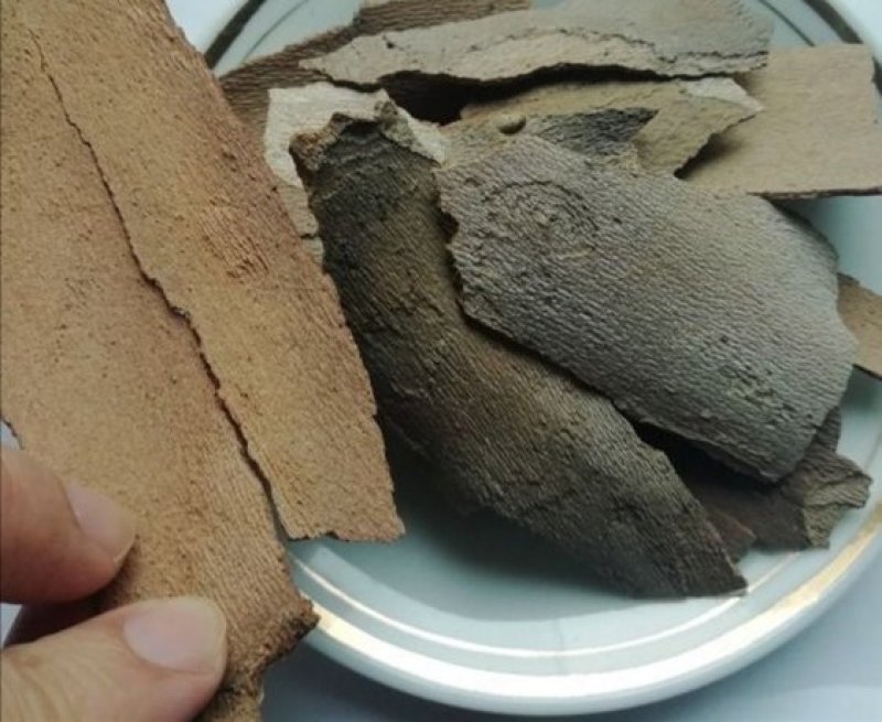 梧桐白皮，产地直供道地药材，药典标准支持线上交易保障