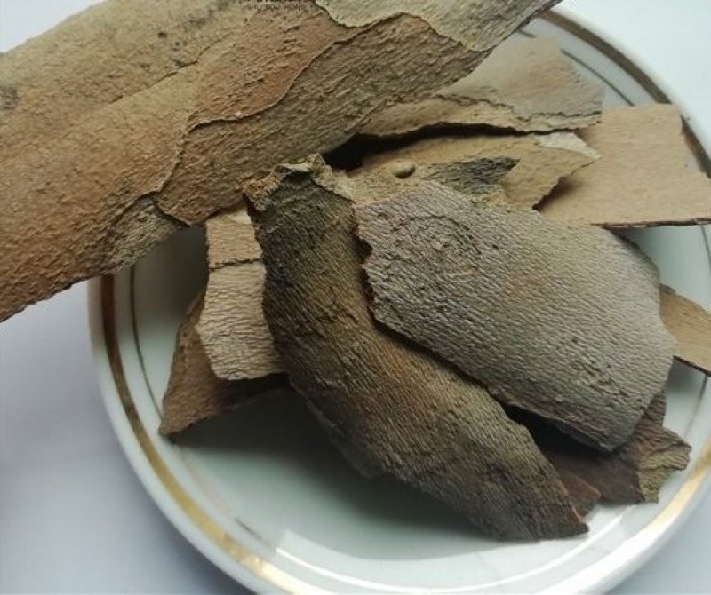 梧桐白皮，产地直供道地药材，药典标准支持线上交易保障