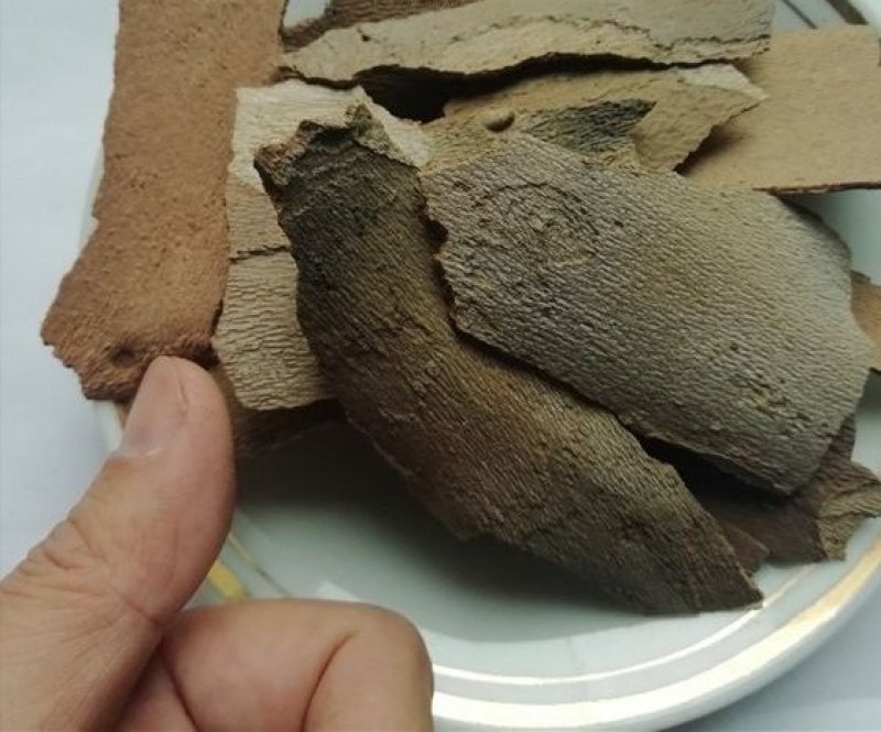 梧桐白皮，产地直供道地药材，药典标准支持线上交易保障