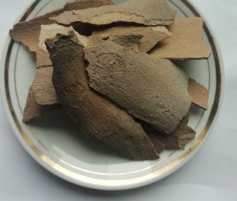 梧桐白皮，产地直供道地药材，药典标准支持线上交易保障