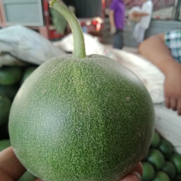 瓜果类