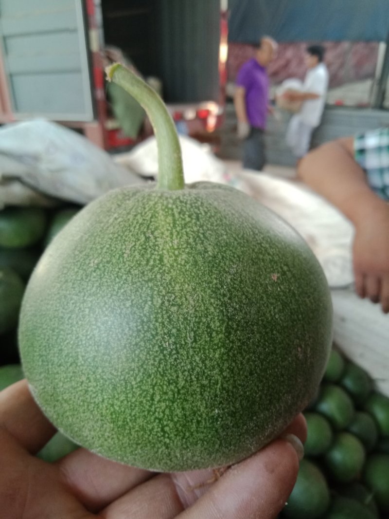 瓜果类