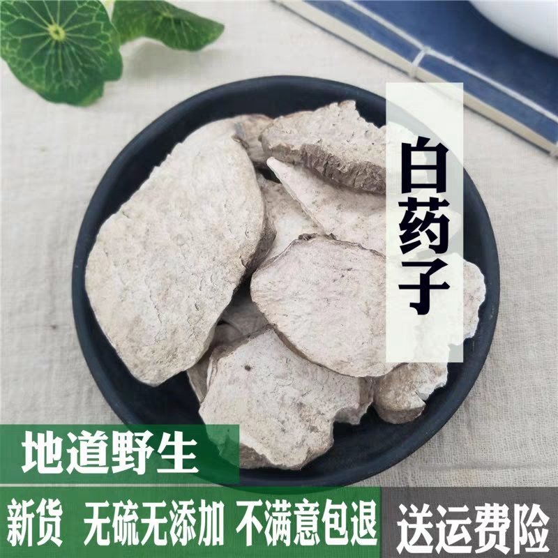 白药子山乌龟产地直销量大从优一手货源
