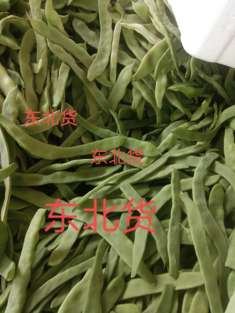 大扁芸豆