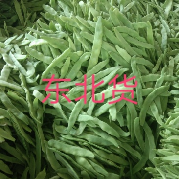 大扁芸豆