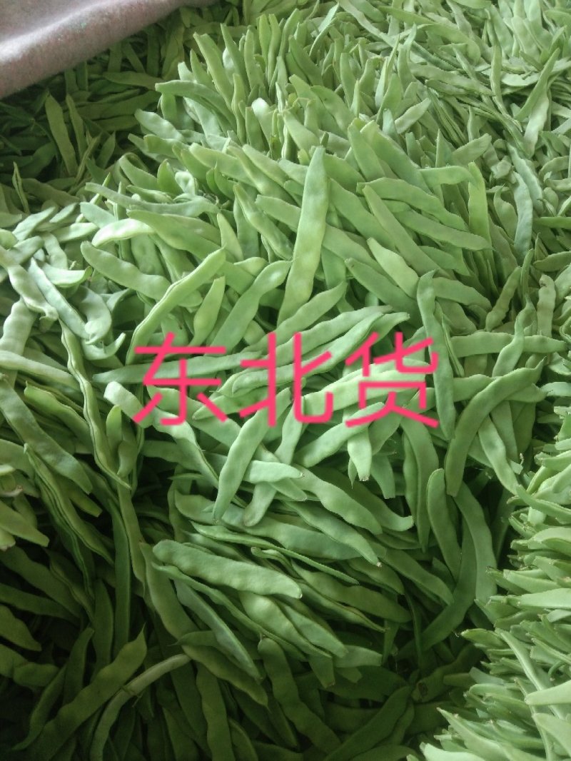 大扁芸豆