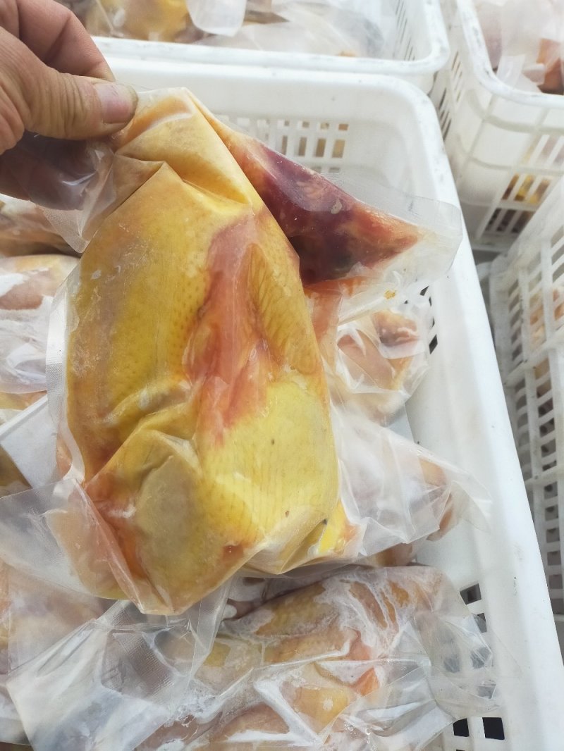 大量供应、真空包装土鸡、白条鸡、保证质量、常年供货