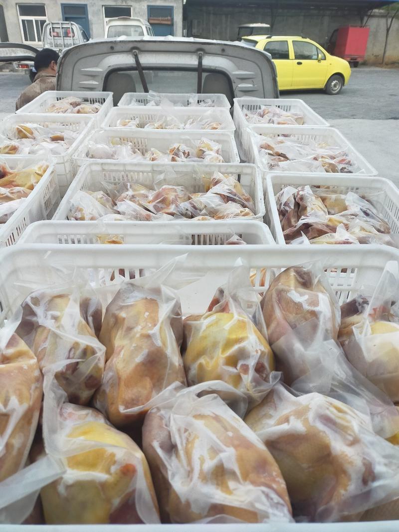 大量供应、真空包装土鸡、白条鸡、保证质量、常年供货