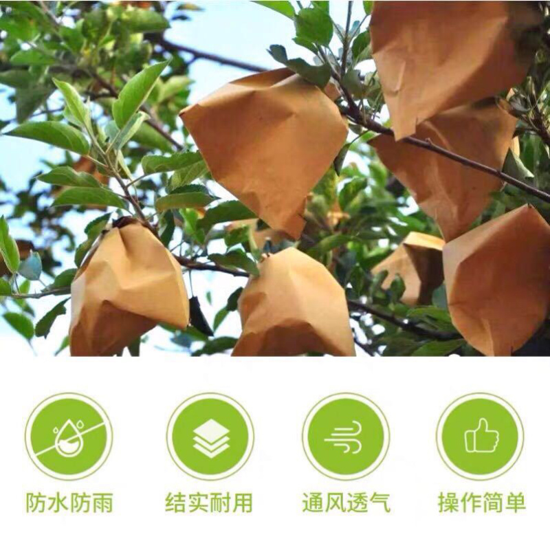 梨袋苹果袋涂蜡单双层梨袋苹果袋量大优惠，咨询定价