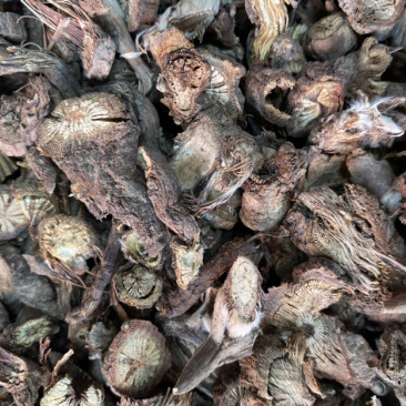 漏芦东北货甘肃货批发各种中药材量大从优