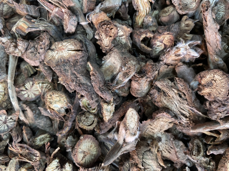 漏芦东北货甘肃货批发各种中药材量大从优