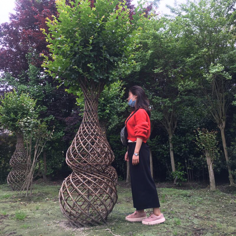 紫薇造型紫薇花瓶紫薇中国结紫薇福禄寿喜字