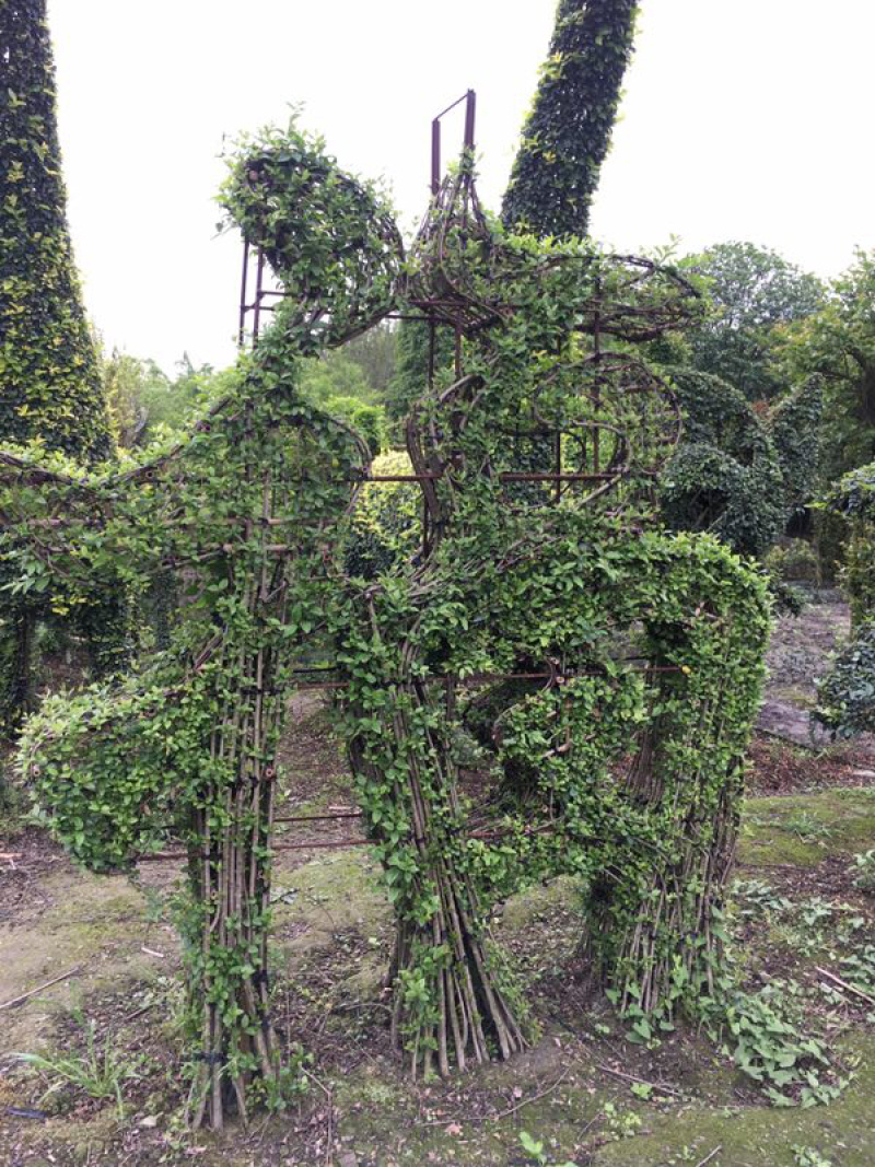 小叶女贞植物造型小叶女贞动物造型小叶女贞造型
