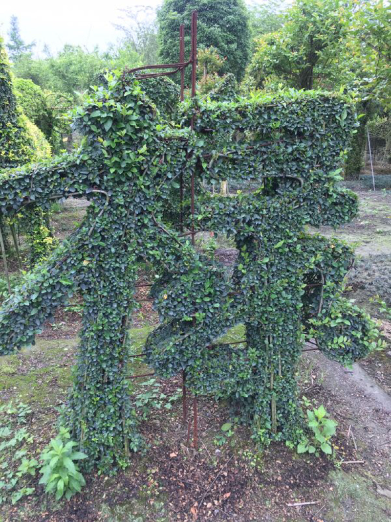小叶女贞植物造型小叶女贞动物造型小叶女贞造型