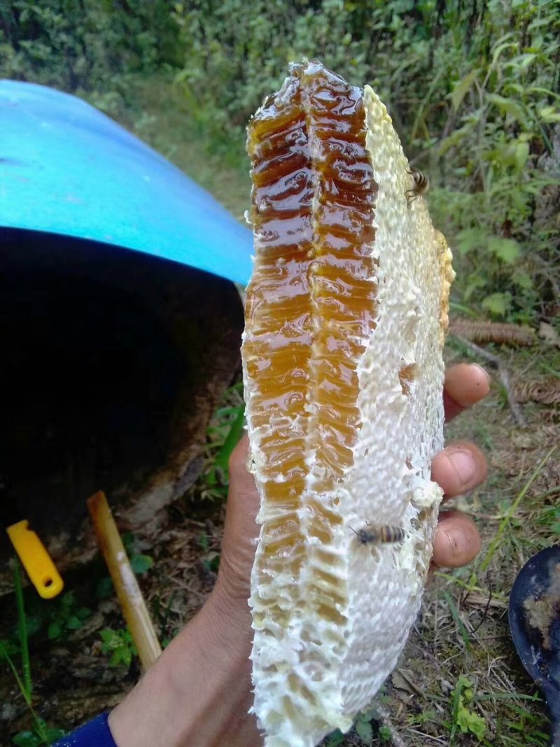 蜂蜜