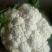 新野县蔬菜种植基地有机花大量出货中，货源充足品质有保证，