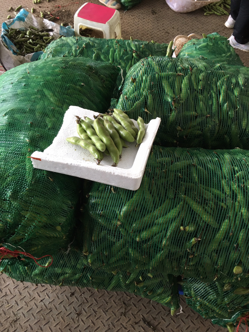 贵州精品蚕豆，大山里的土货产地直发，无中间商差价，