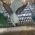 种兔