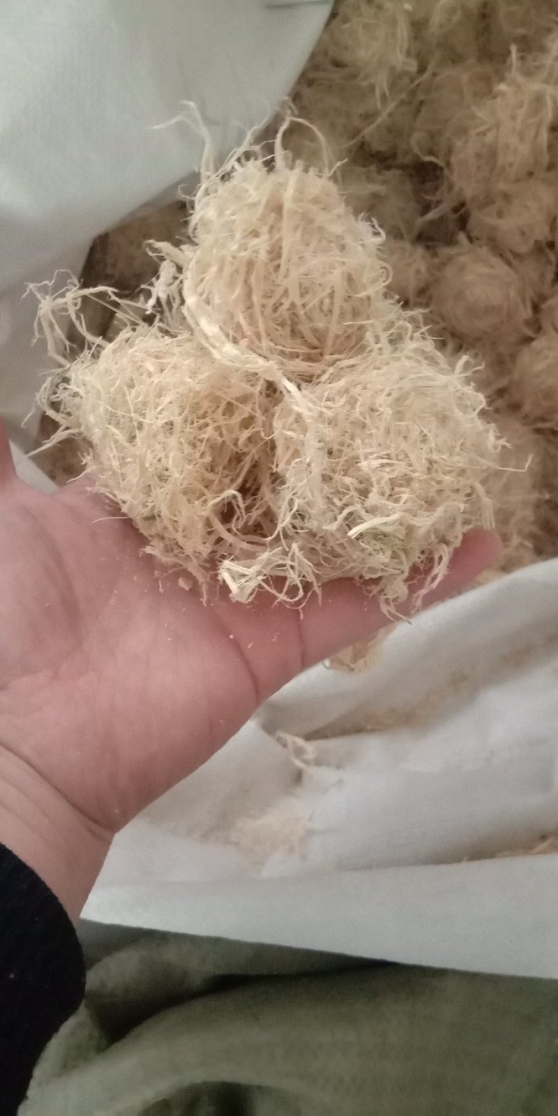 竹茹竹茹丝竹茹球竹皮无硫质量保证各种中药材