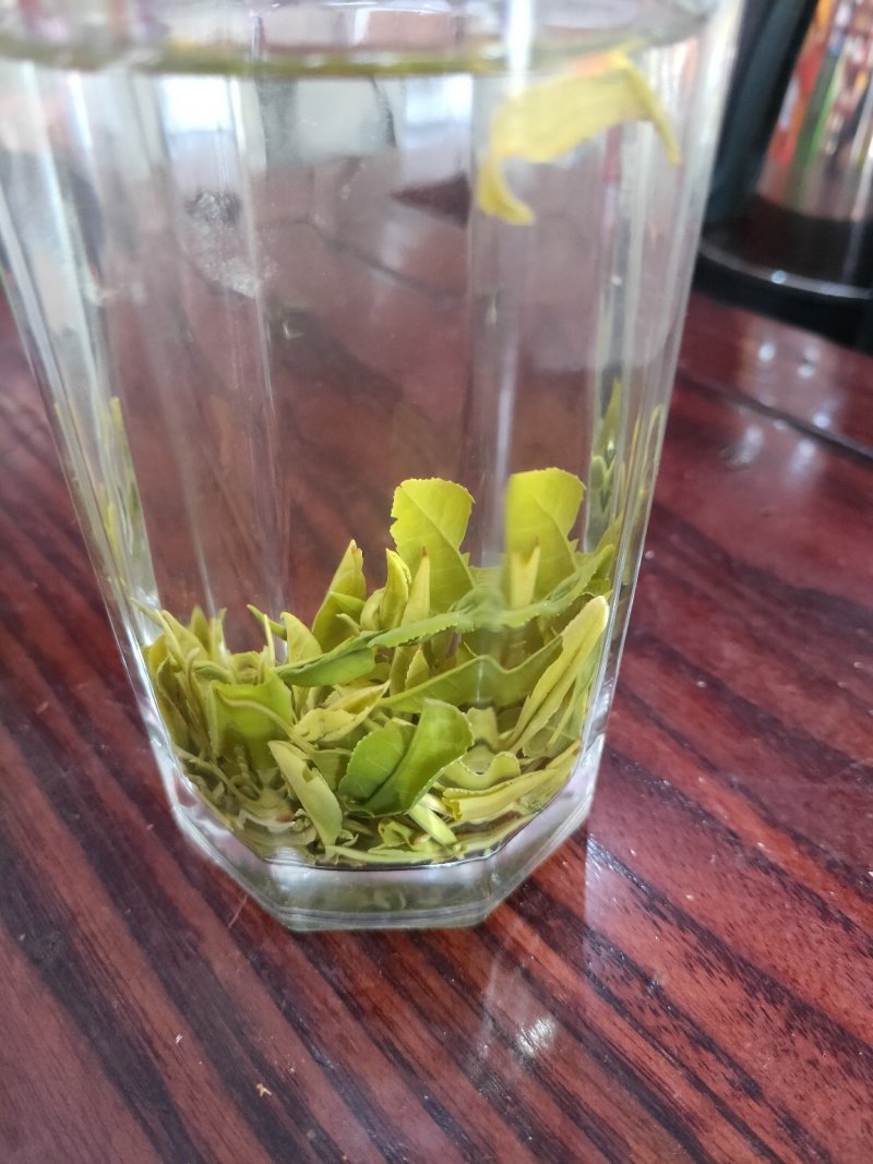 毛峰茶