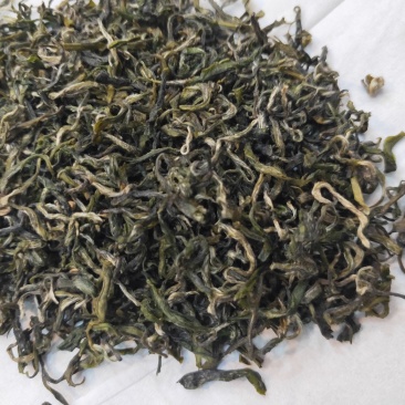 毛峰茶
