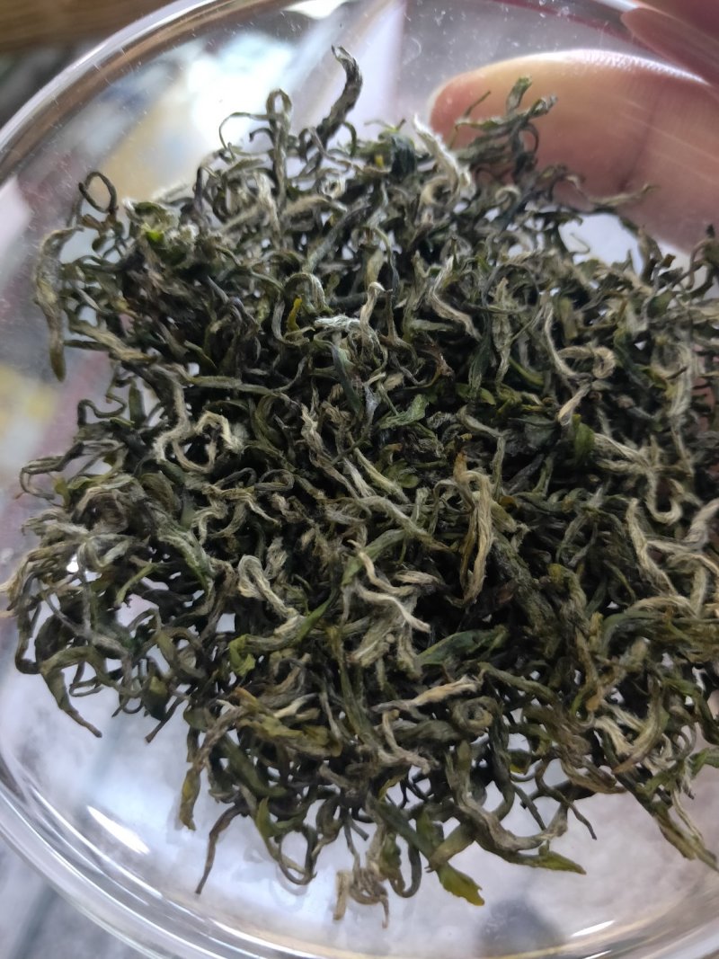 毛峰茶
