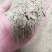 厂家直供油渣油渣粉香油渣大豆渣玉米渣饲料厂黄粉虫水产养殖