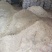 厂家直供油渣油渣粉香油渣大豆渣玉米渣饲料厂黄粉虫水产养殖