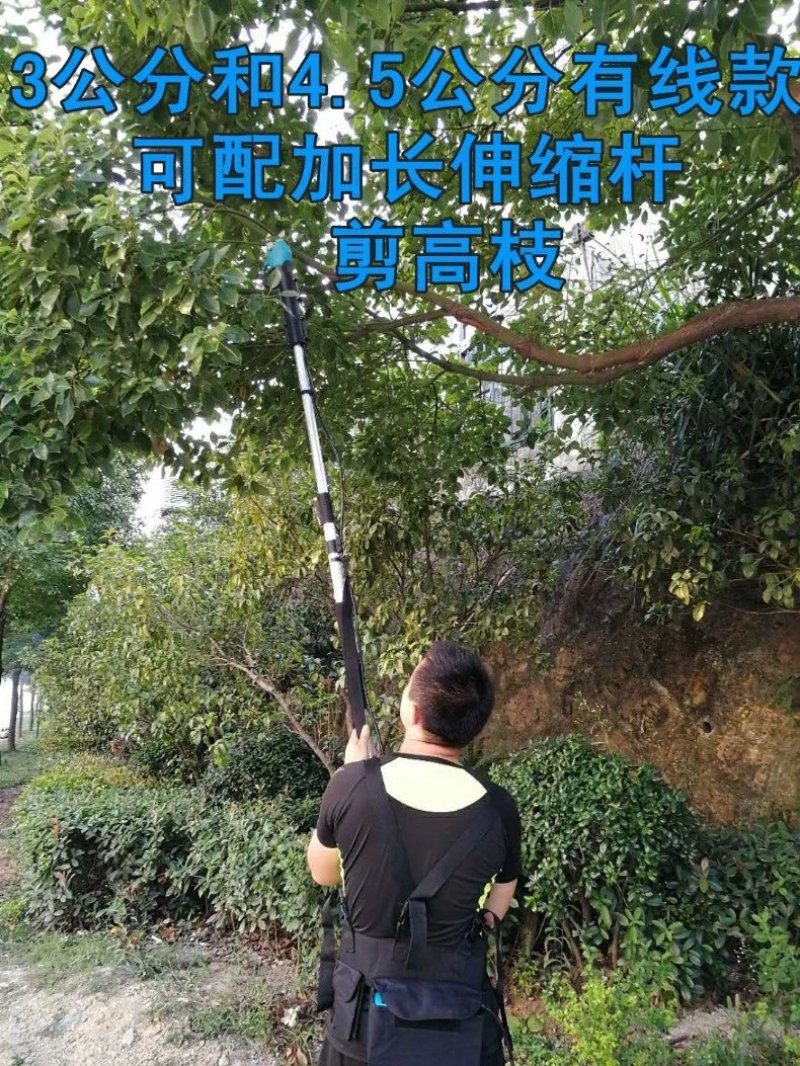 电动修枝剪刀果树充电式电剪子修剪树枝剪枝高枝剪绿化园林果