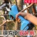 电动修枝剪刀果树充电式电剪子修剪树枝剪枝高枝剪绿化园林果