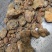 阿魏臭阿魏钓鱼好诱饵干货散装100克起包邮