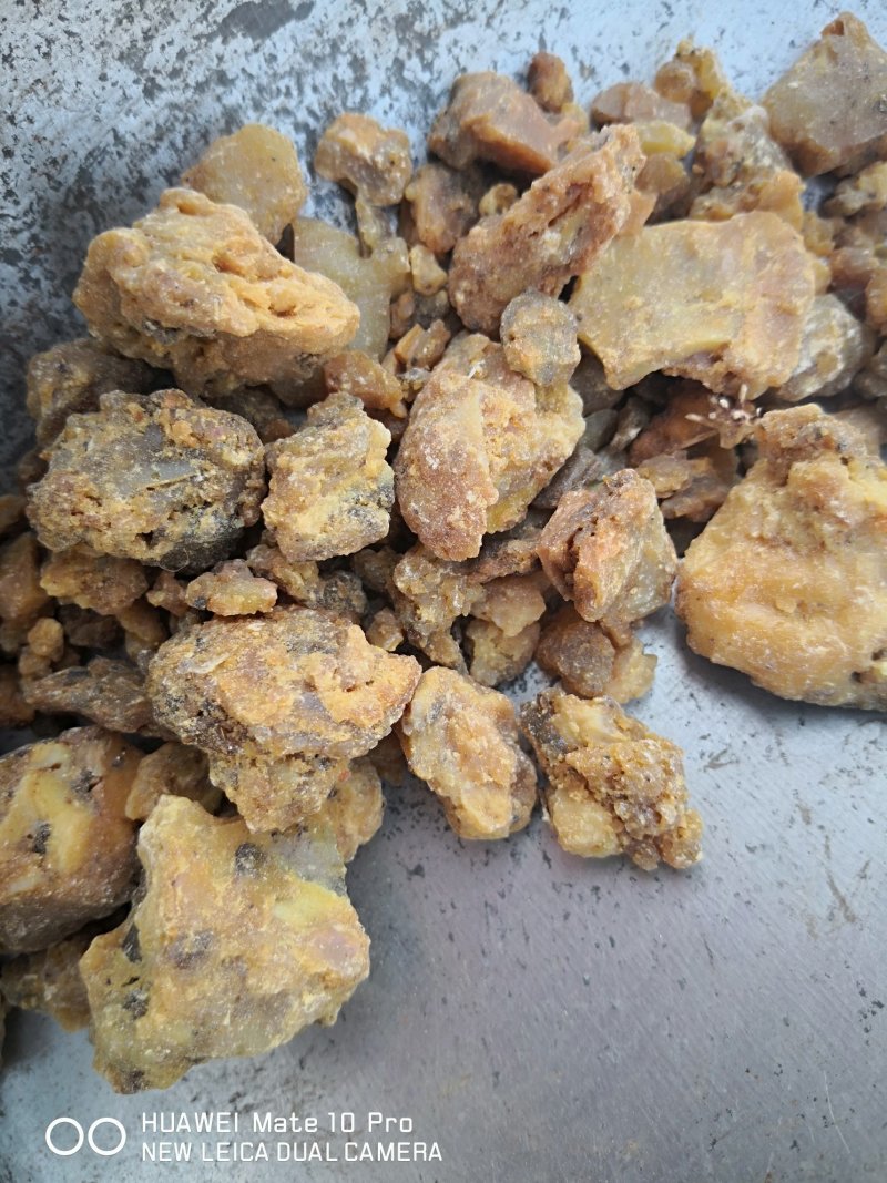 阿魏臭阿魏钓鱼好诱饵干货散装100克起包邮