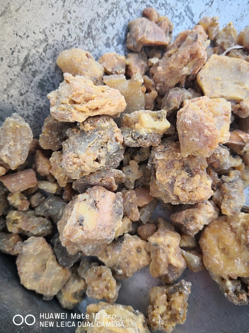 阿魏臭阿魏钓鱼好诱饵干货散装100克起包邮
