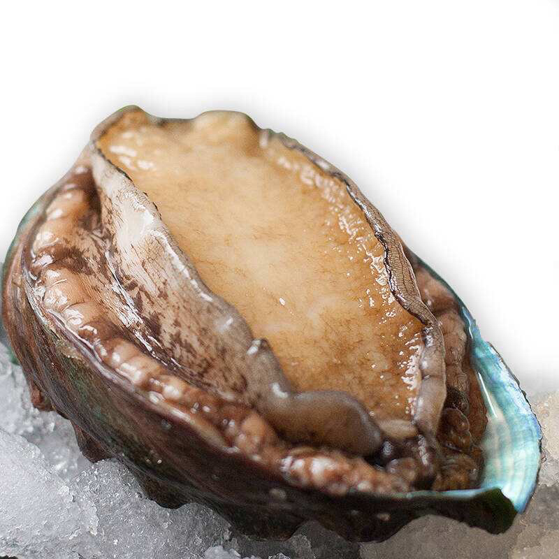大波龙鲍鱼豪华套餐