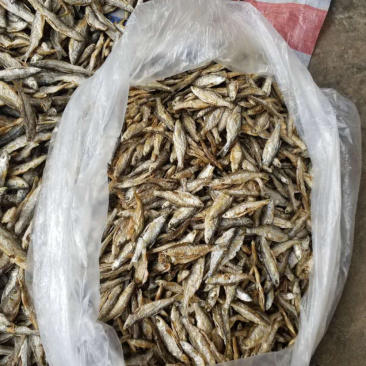 兰刀鱼干