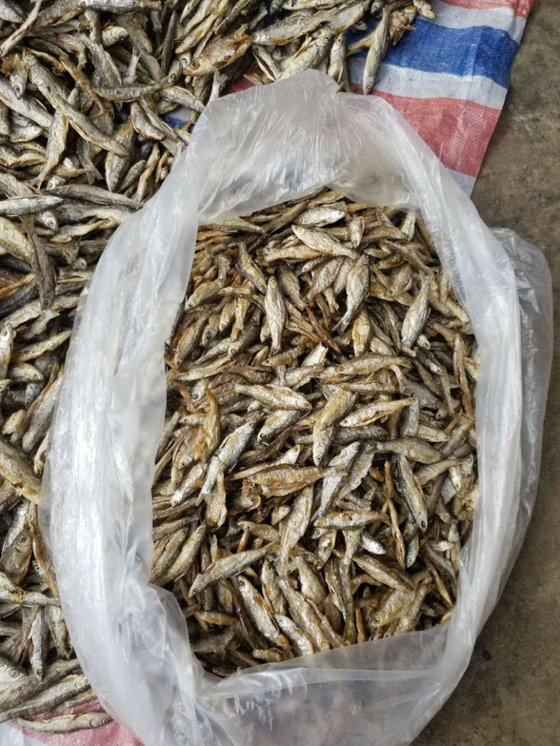 兰刀鱼干