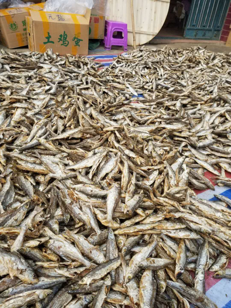 兰刀鱼干