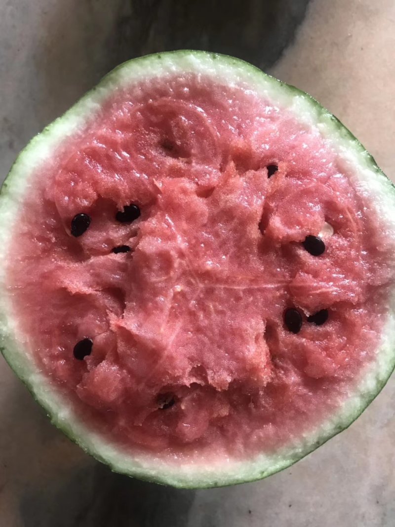 大漠吊瓜