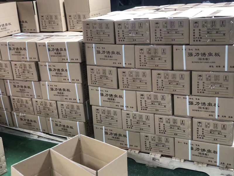[一件代发]20*25粘虫板，诱虫板黄蓝板，粘蓟马，