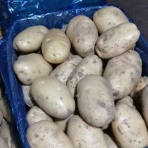 蔬菜