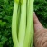 蔬菜