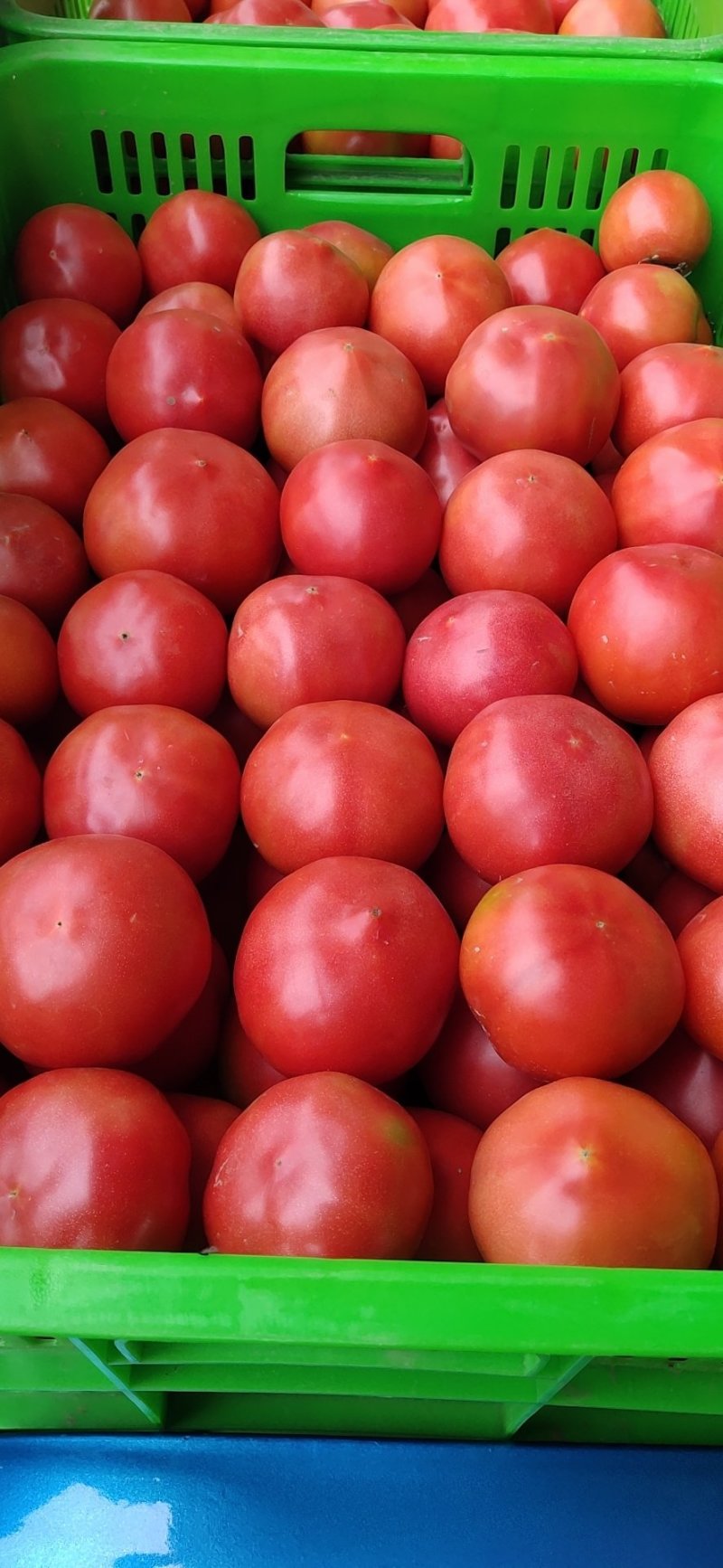 蔬菜