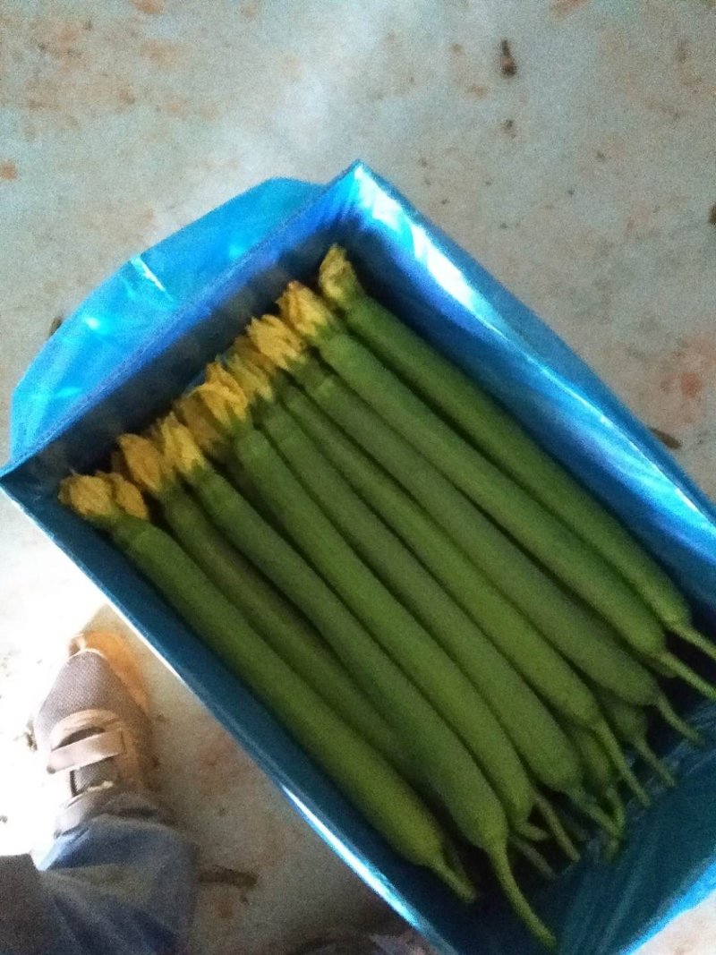 蔬菜