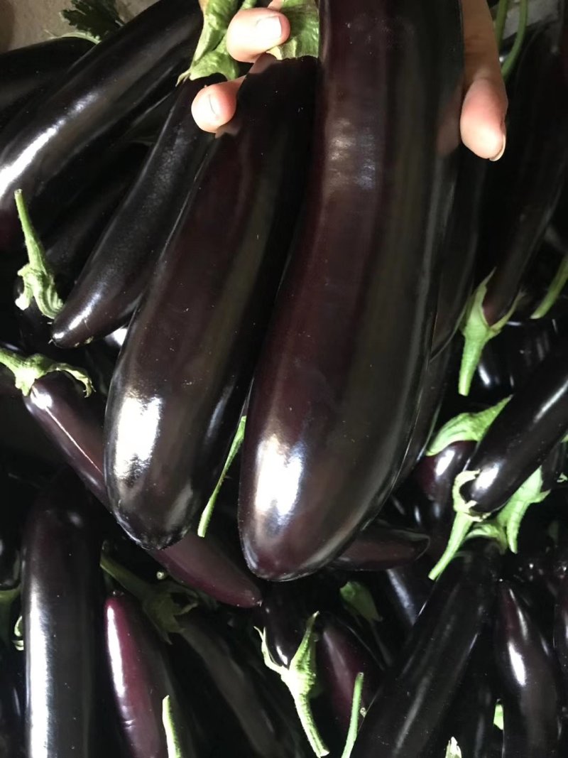 蔬菜