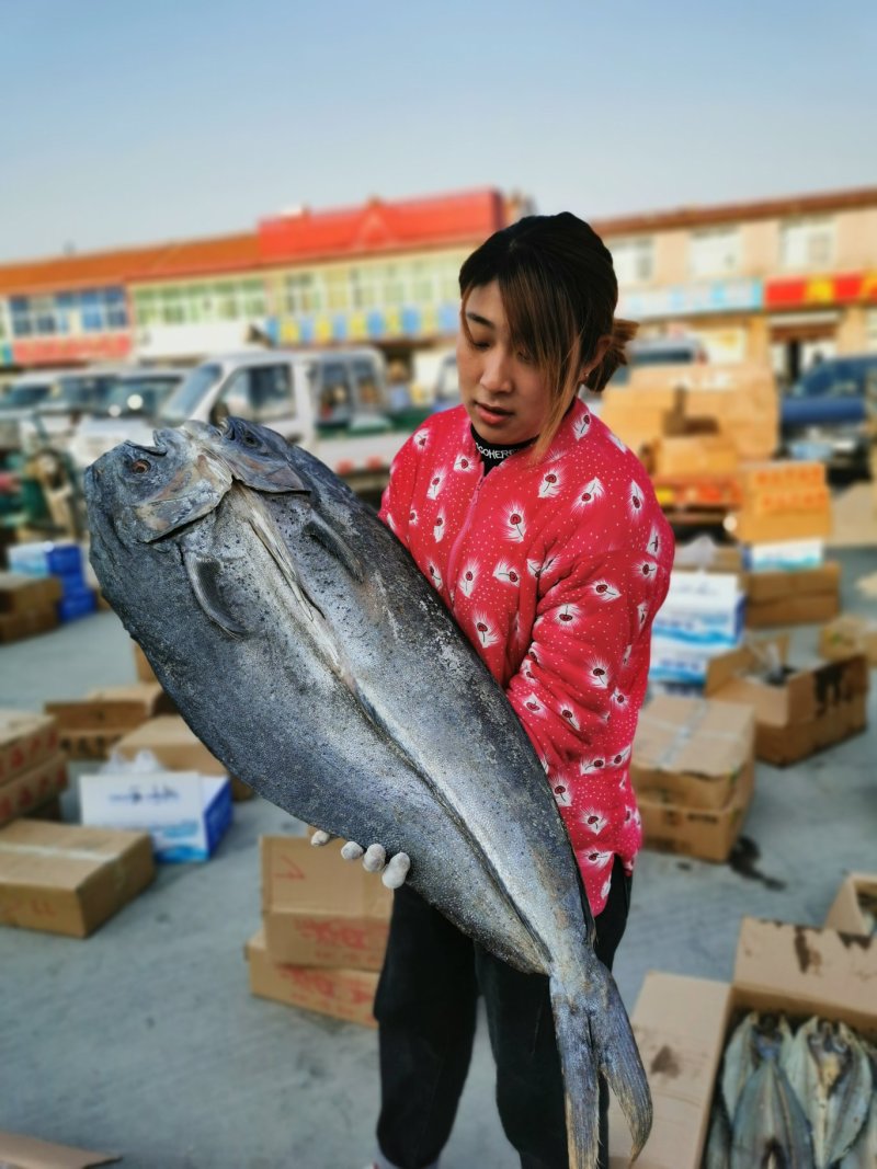 咸鲅鱼