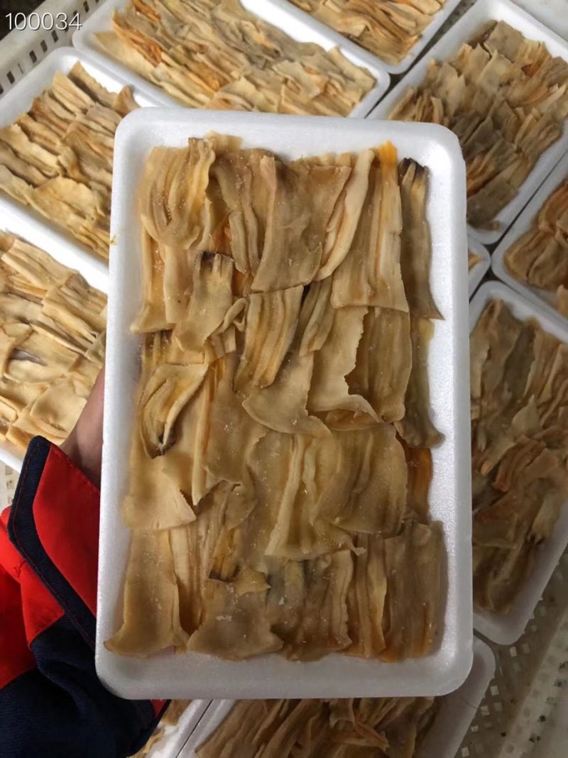 辽宁东港新鲜加工朝鲜象拔蚌