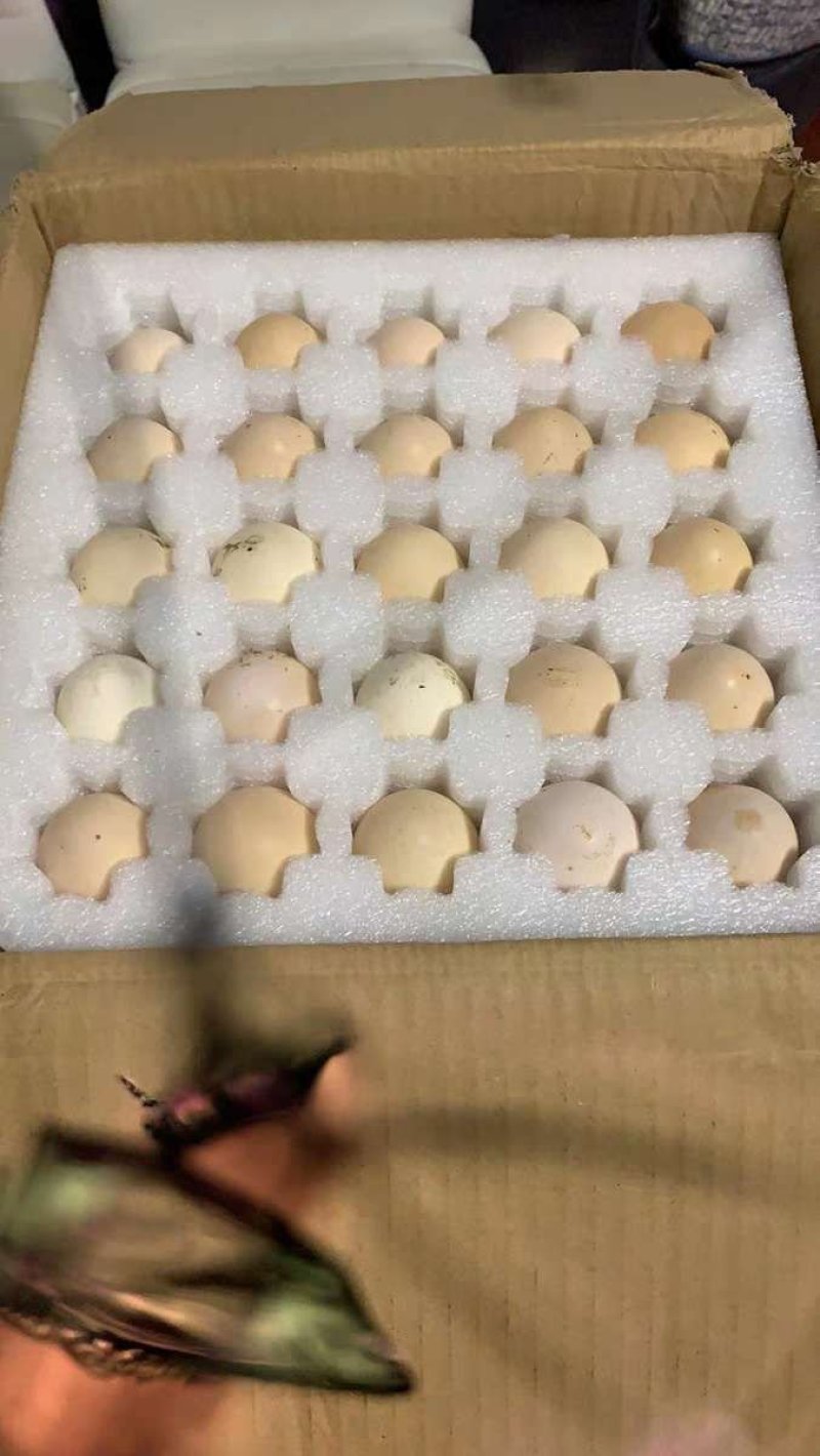 鸡蛋箱珍珠棉蛋托快递纸箱加厚纸箱订制包装